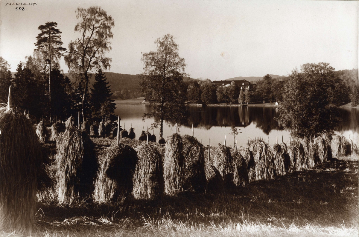Hermann Christian Neupert, Landskap, Bogstad, Oslo. Oversiktsbilde med Bogstad gård i bakgrunnen. Oversiktsbilde. Bogstadvannet i mellomgrunnen, i forgrunnen jorder med rader av høystakker. Fot. H.C. Neupert (nr.598) ant. 1920.