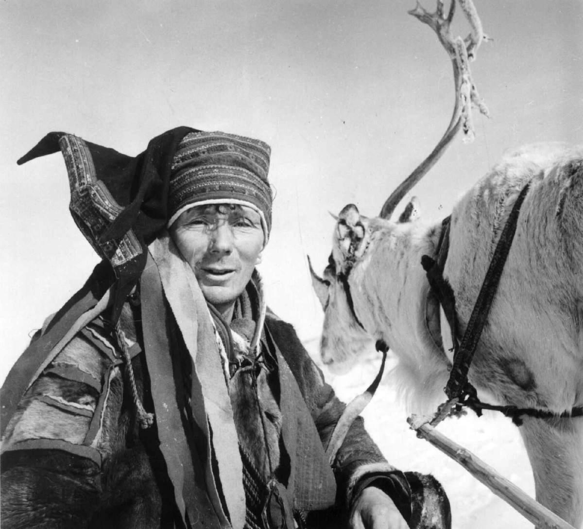 Virginia Raymond Davidson, Aslak A. N. Sara i kautokeinodrakt, et reinsdyr står ved siden av. Finnmark 1958.