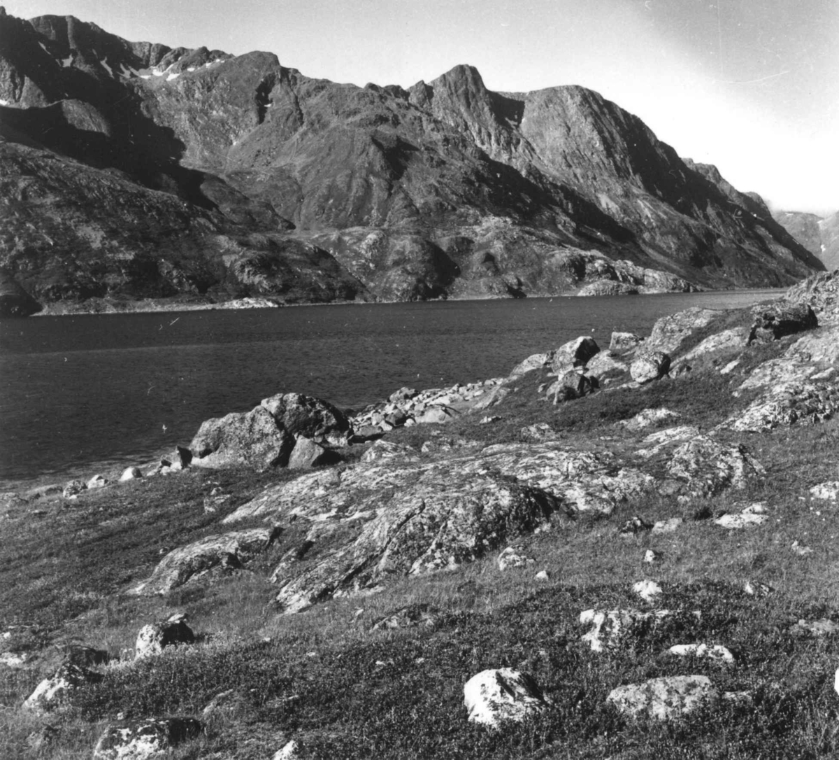 Virginia Raymond Davidson, Oversiktsbilde over Seiland, 1958.