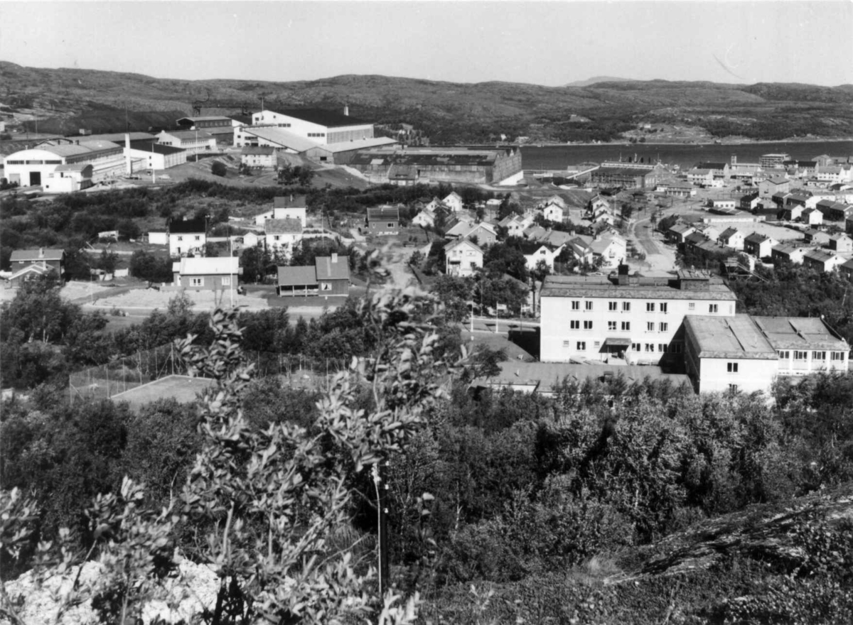Virginia Raymond Davidson, Kirkenes