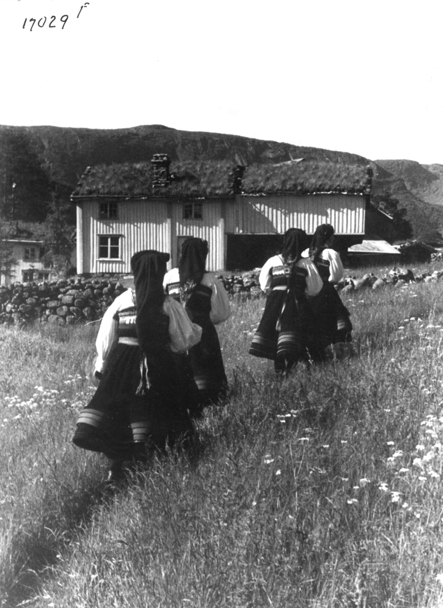 Anders Beer Wilse, Kvinnedrakt, Setesdalsjenter bakfra