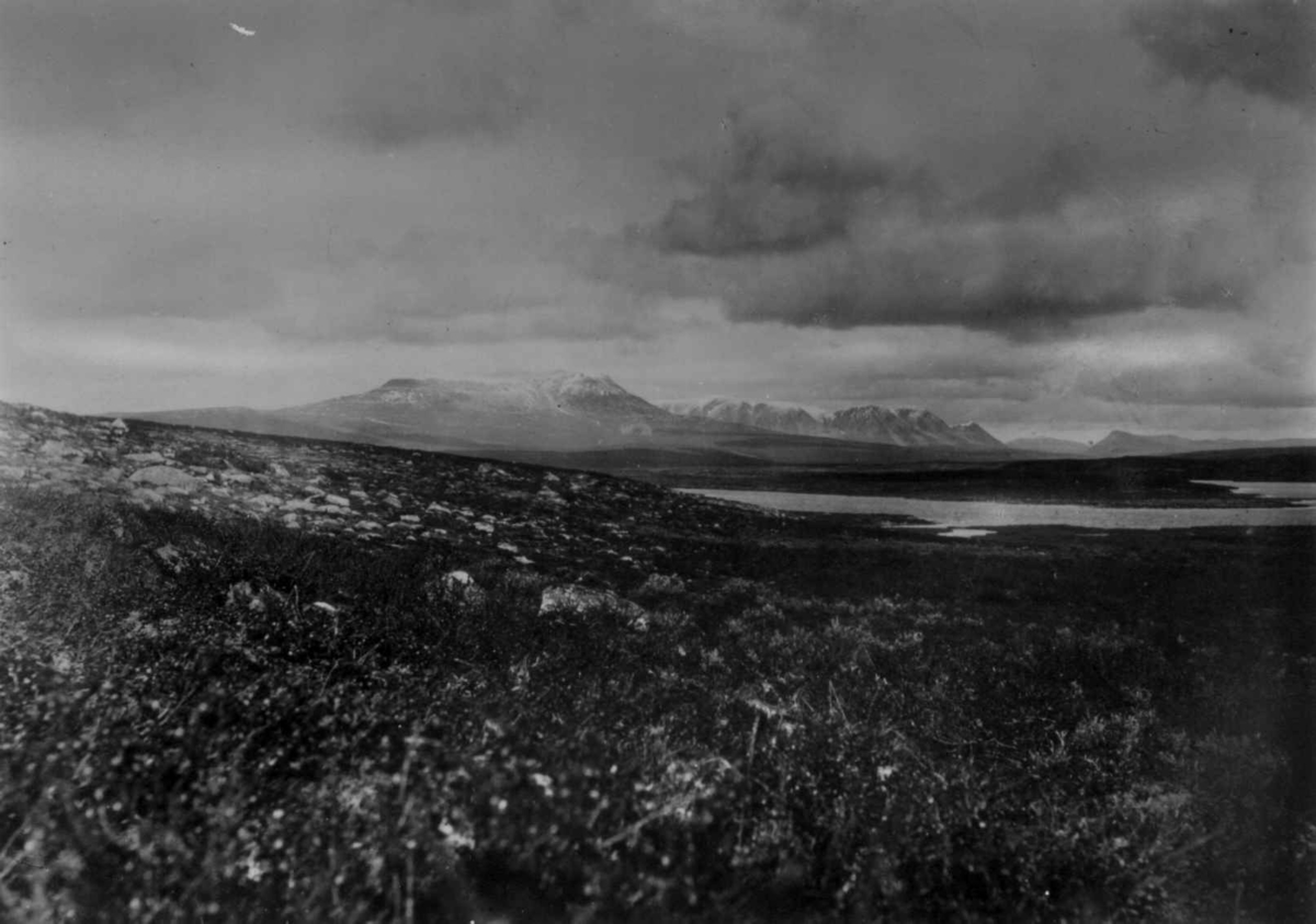 Konrad Nielsen, Oversiktsbilde over Gaisaene, fjelltopper sør for Porsangerfjord.