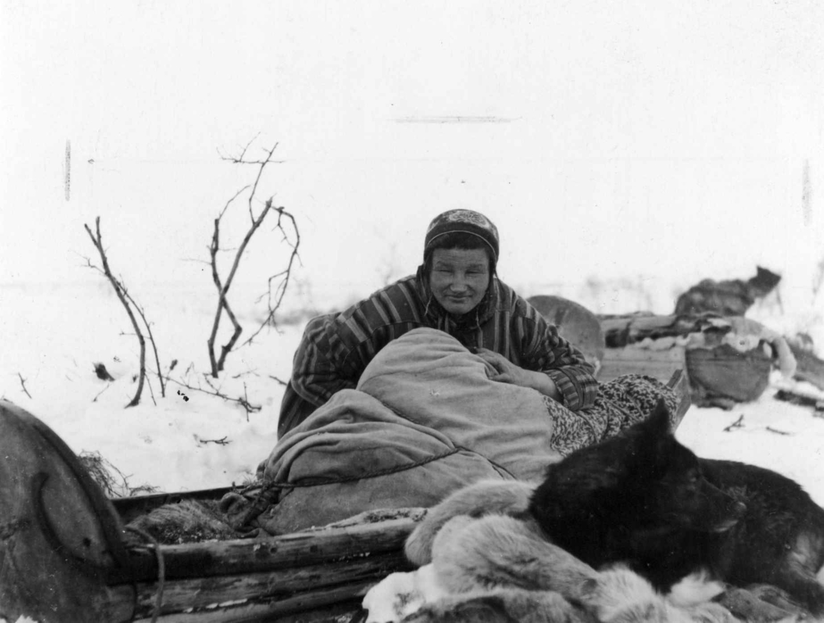 Konrad Nielsen, Diegiving under flytting, i forgrunnen ligger en hund på en skinnfell.