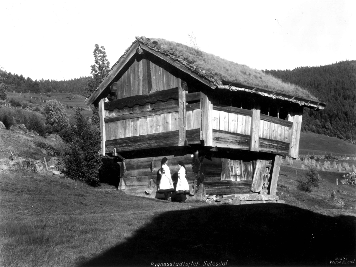 Anders Beer Wilse, Valle 1, Rygnestad