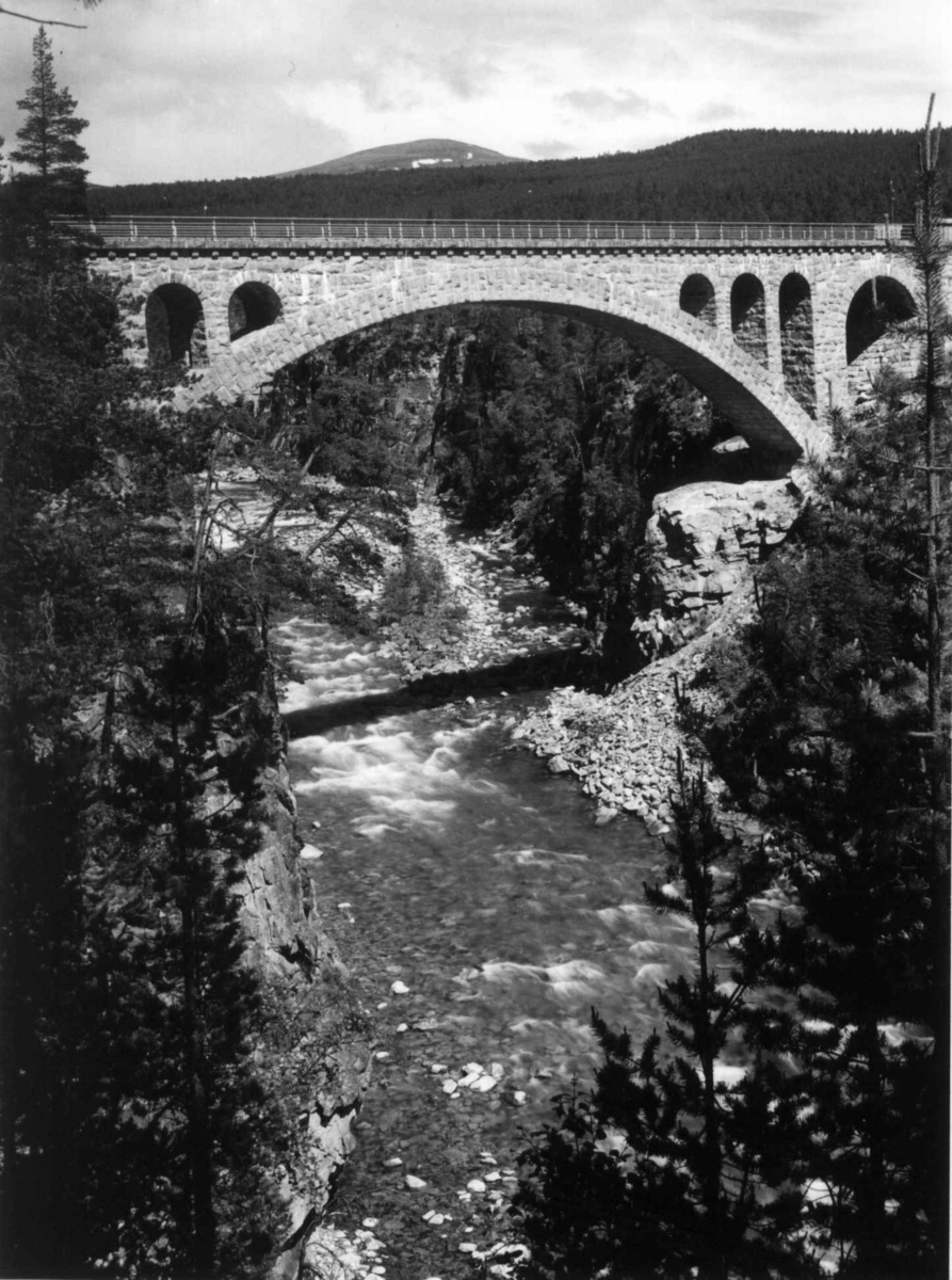 Hermann Christian Neupert, Raumabanen, Jora bro ved Dombås, Dovre,Oppland. 1935. Elv. Skog.