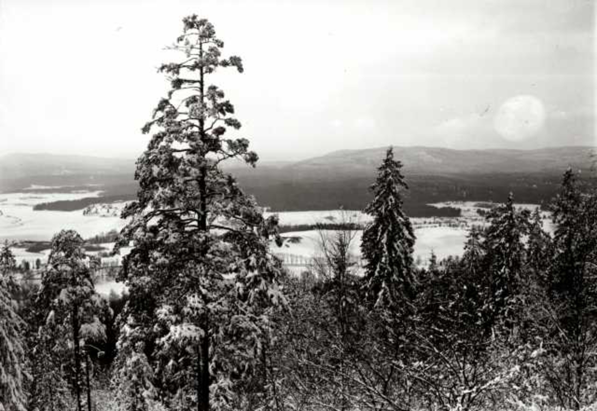 Hermann Christian Neupert, Nordmarka, Oslo. Utsikt over vinterlandskap.