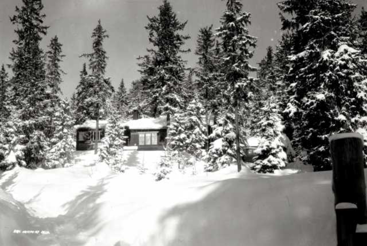Hermann Christian Neupert, Nordmarka, Oslo. Vinterskog med hytte.
