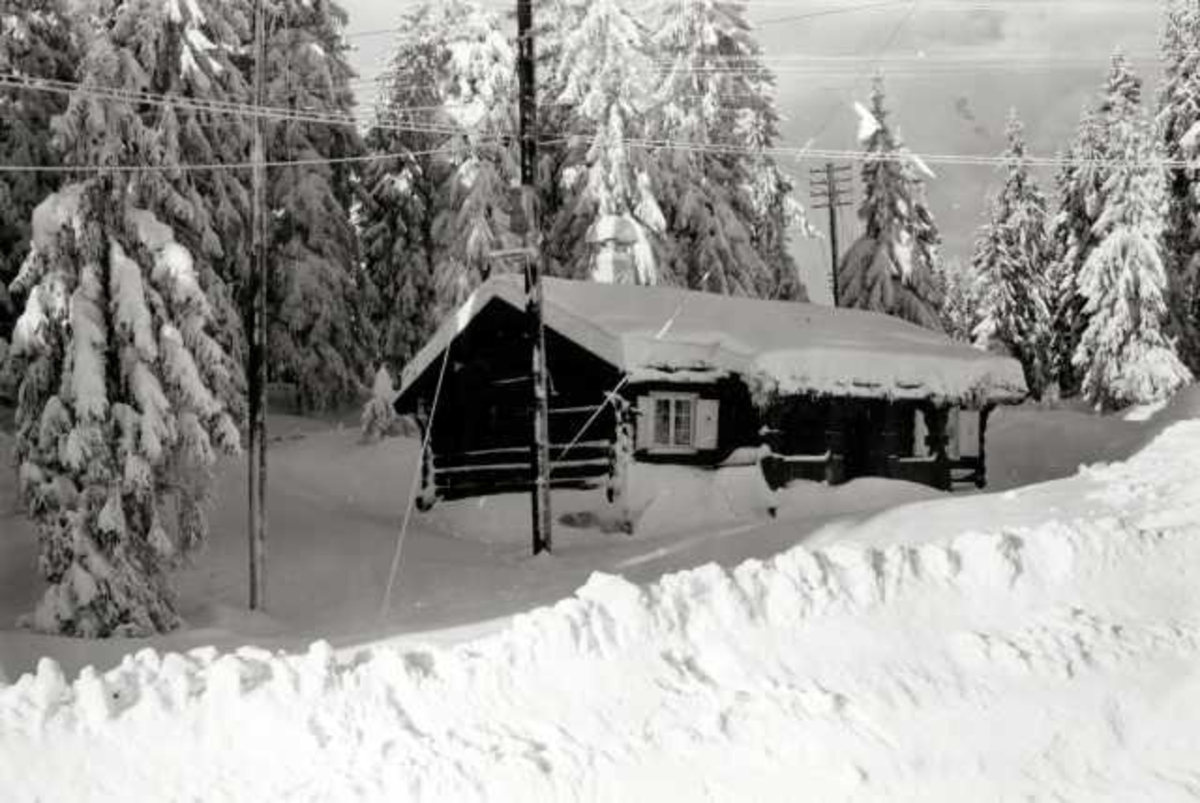 Hermann Christian Neupert, Nordmarka, Oslo. Vinterskog med hytte.
