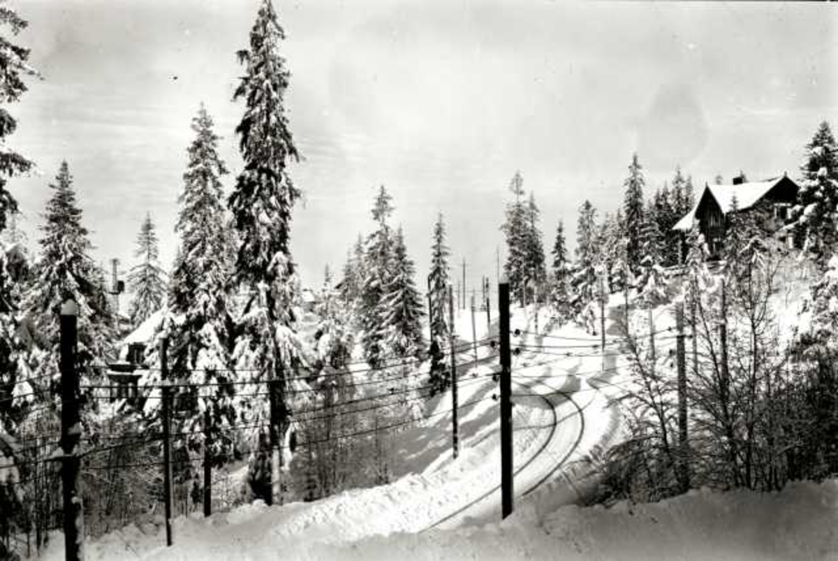 Hermann Christian Neupert, Nordmarka, Oslo. Vintermotiv. Holmenkollbanen. Granskog langs banen. Hus i bakgrunnen.