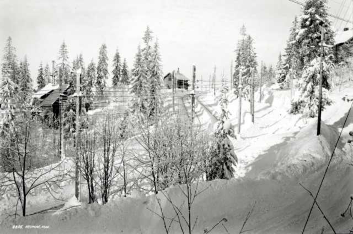 Hermann Christian Neupert, Holmenkollbanen, Nordmarka, Oslo. Vinterskog med hus og bane.