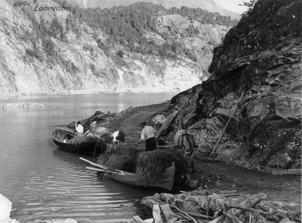 Anders Beer Wilse, Høytransport