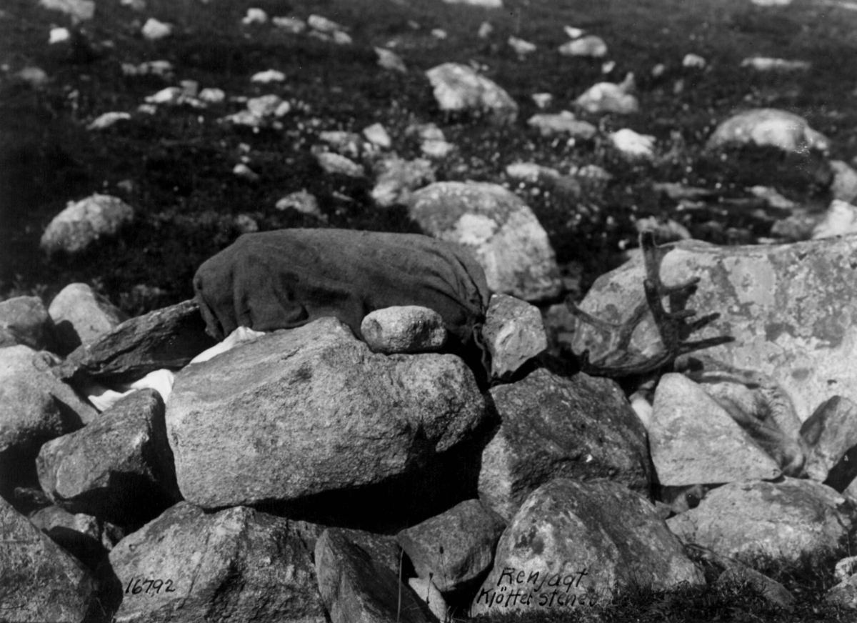 Anders Beer Wilse, Reinsdyrjakt, Eidfjord