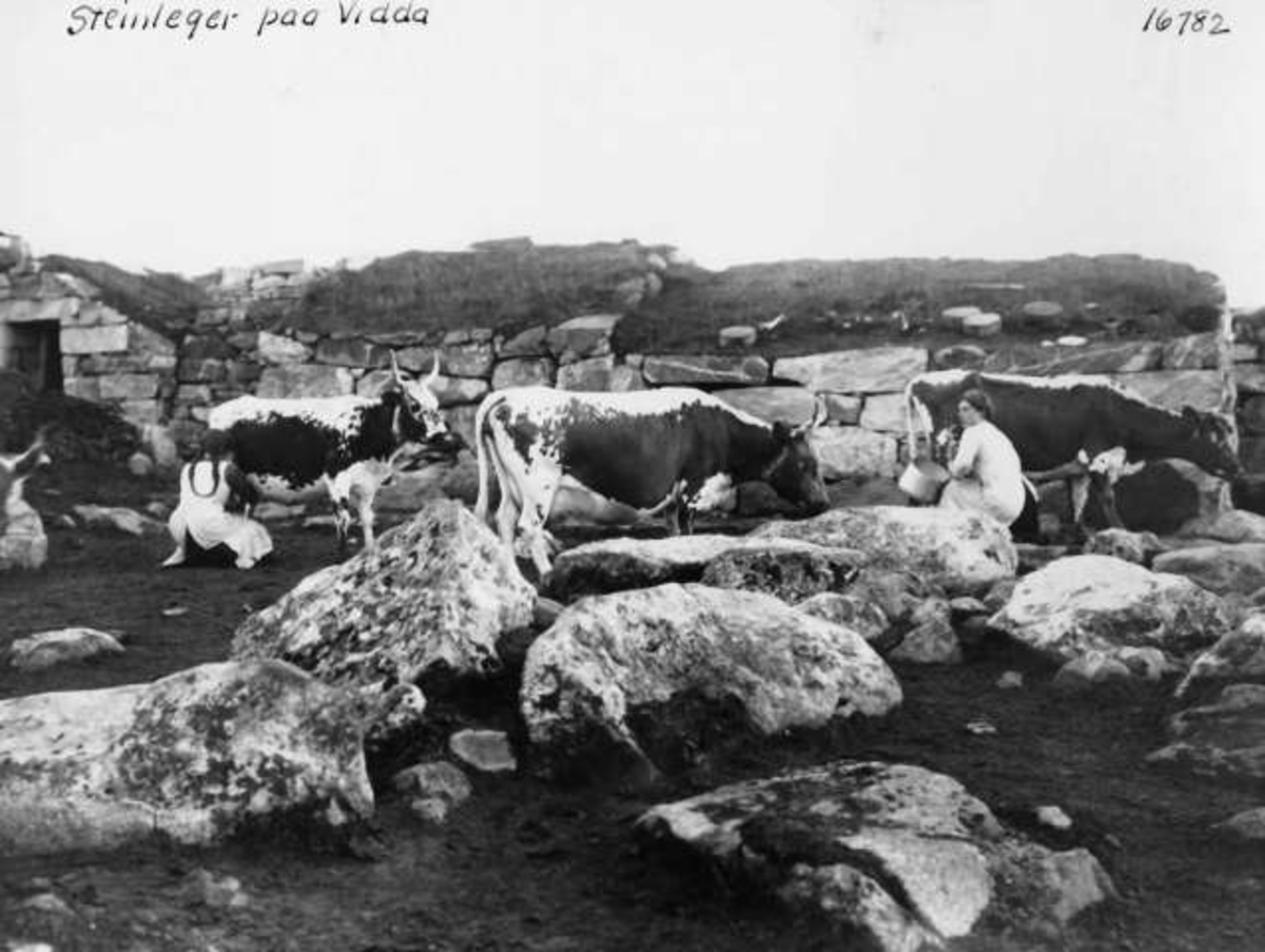 Anders Beer Wilse, NF.08183-319