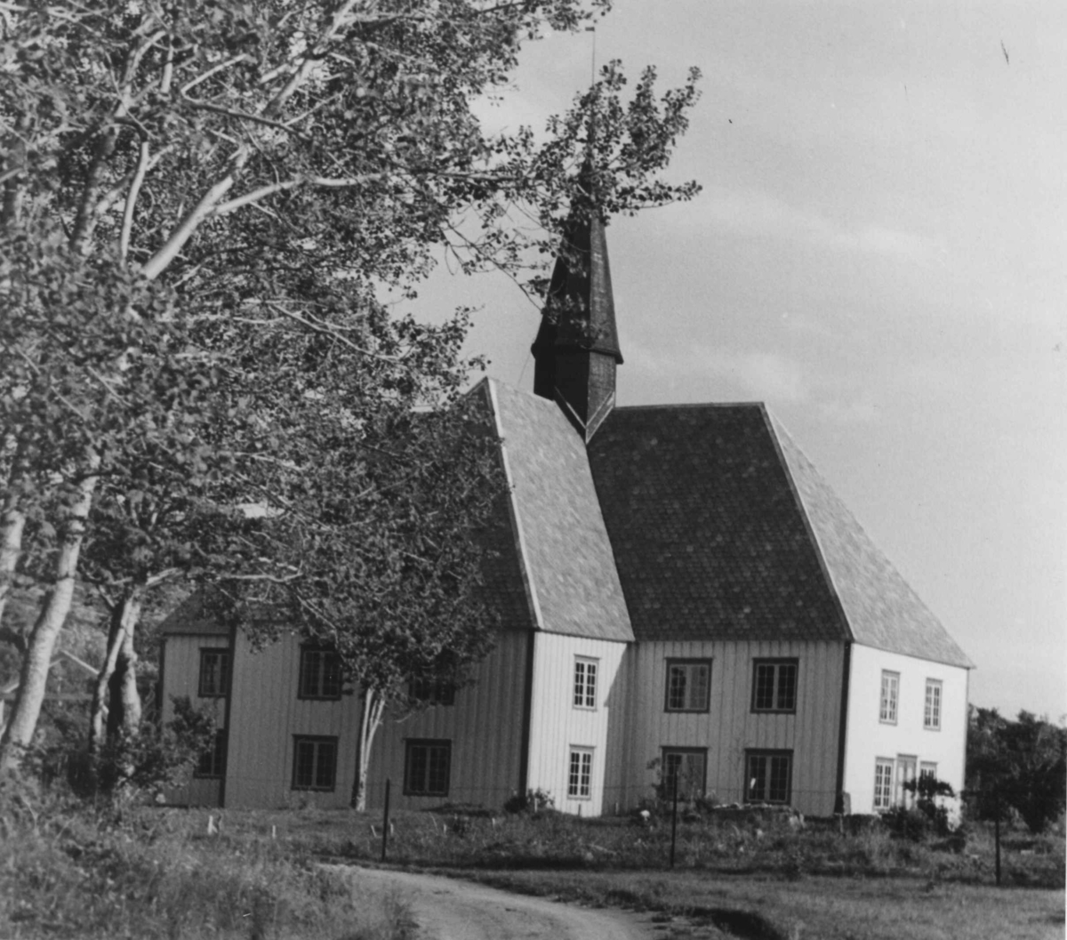 Anders Beer Wilse, Luroy k.