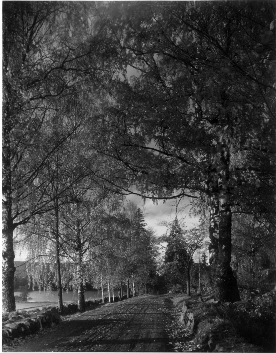 Hermann Christian Neupert, Fra Bogstad ca. 1923. Parken. Vei langs Bogstadvannet.