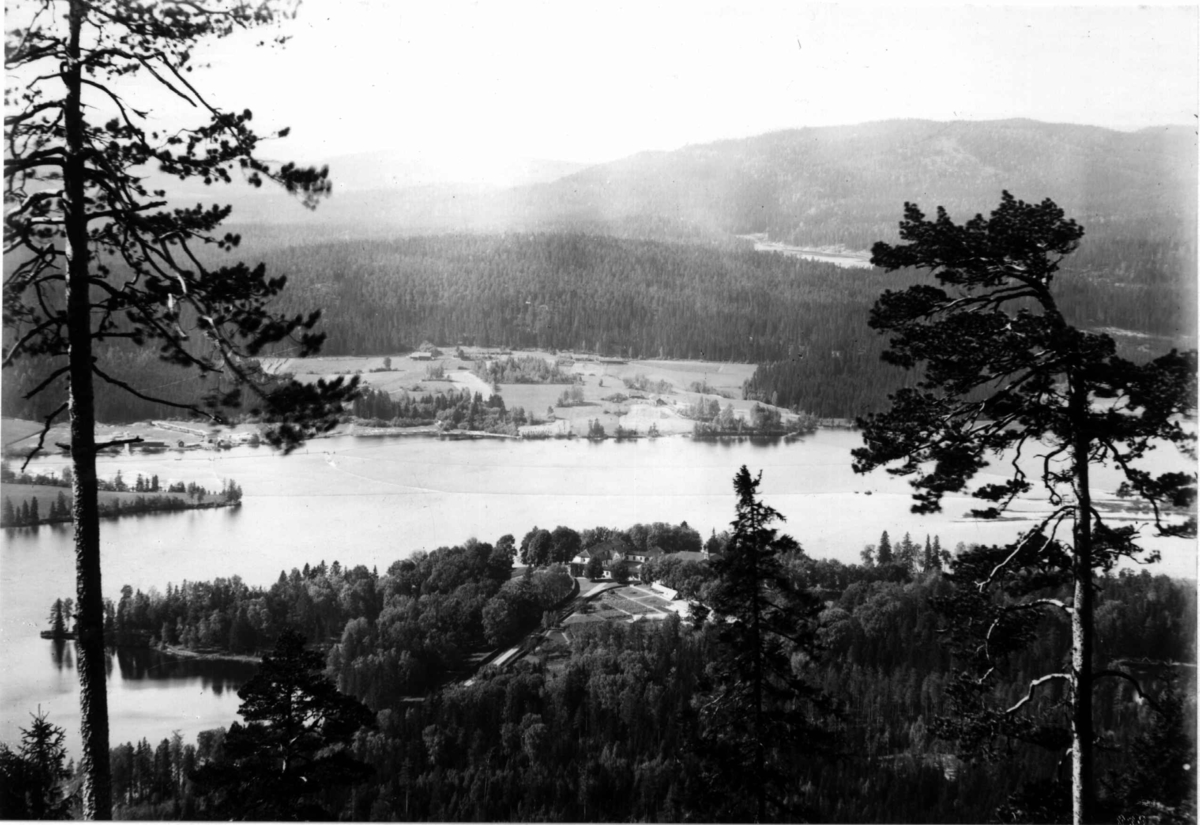 Hermann Christian Neupert, Bogstad gård, Bogstadvannet og landskapet omkring ca. 1923. Oversiktsbilde. Sett fra Lillevann. Bebyggelse og skog i bakgrunnen.