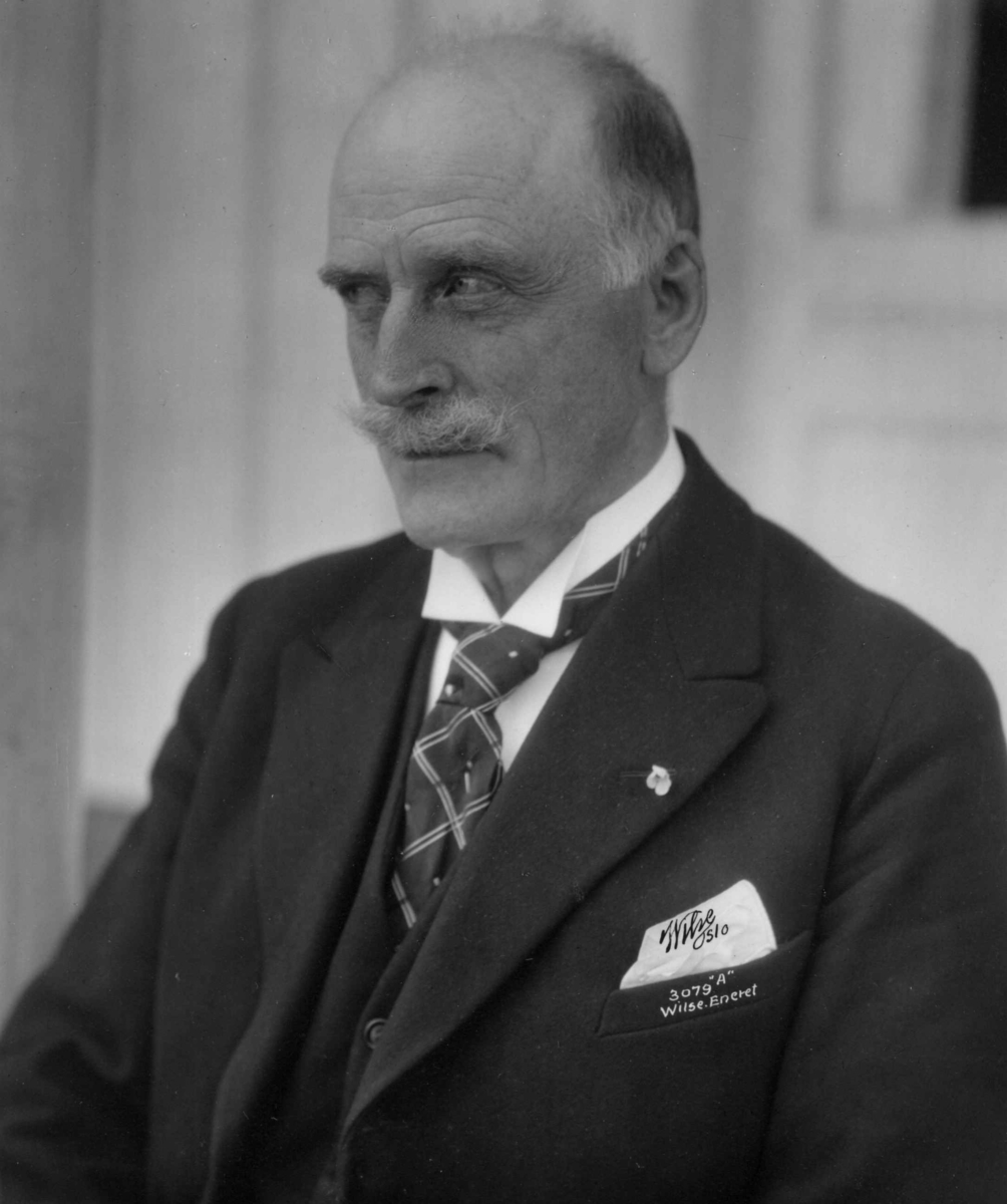 Anders Beer Wilse, Hamsun