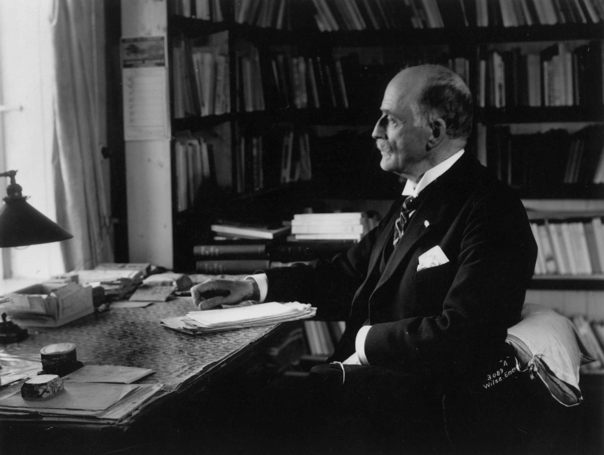 Anders Beer Wilse, Hamsun