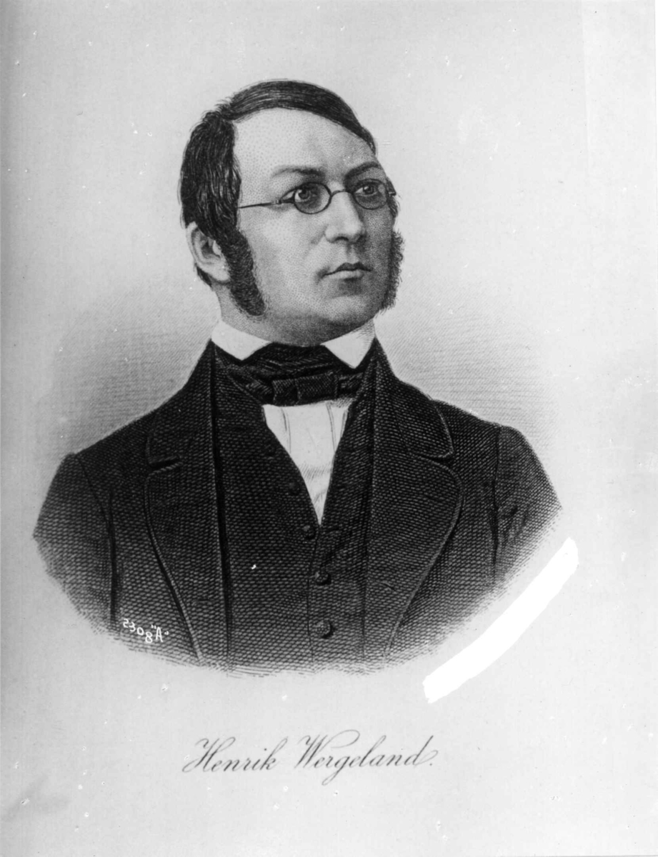 Anders Beer Wilse, Portrett av Henrik Wergeland