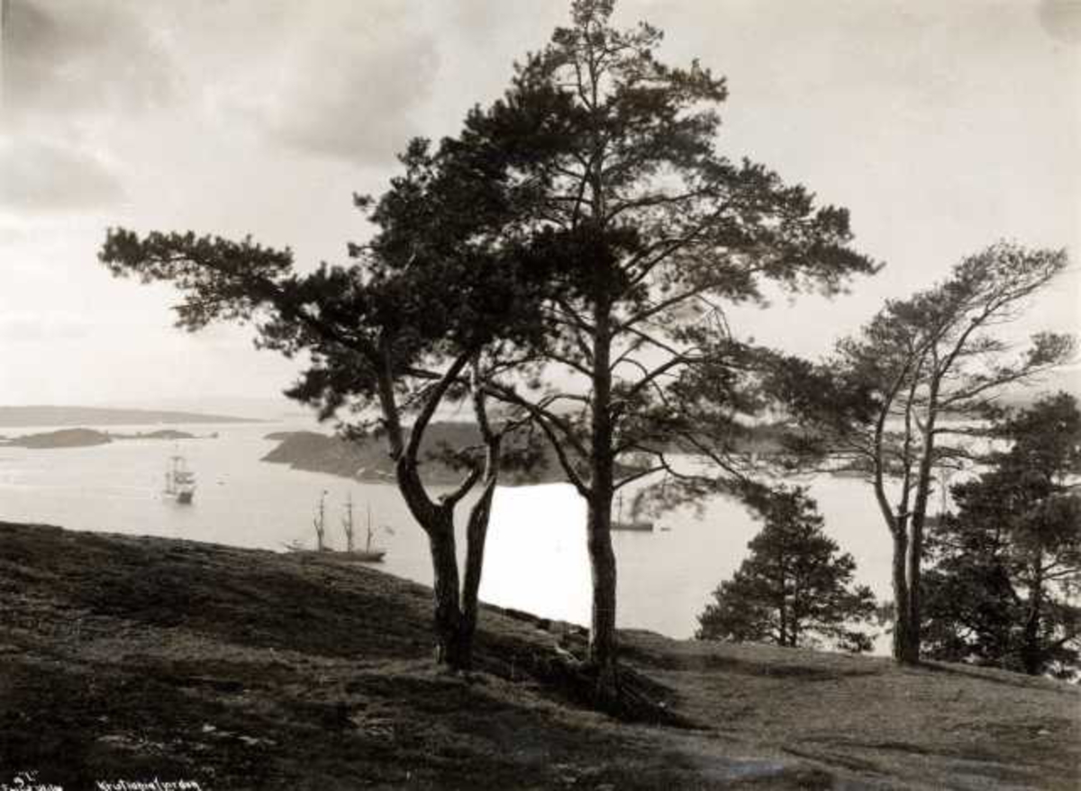 Axel Lindahl, Oslofjorden, Oslo. Sett fra Ekeberg.