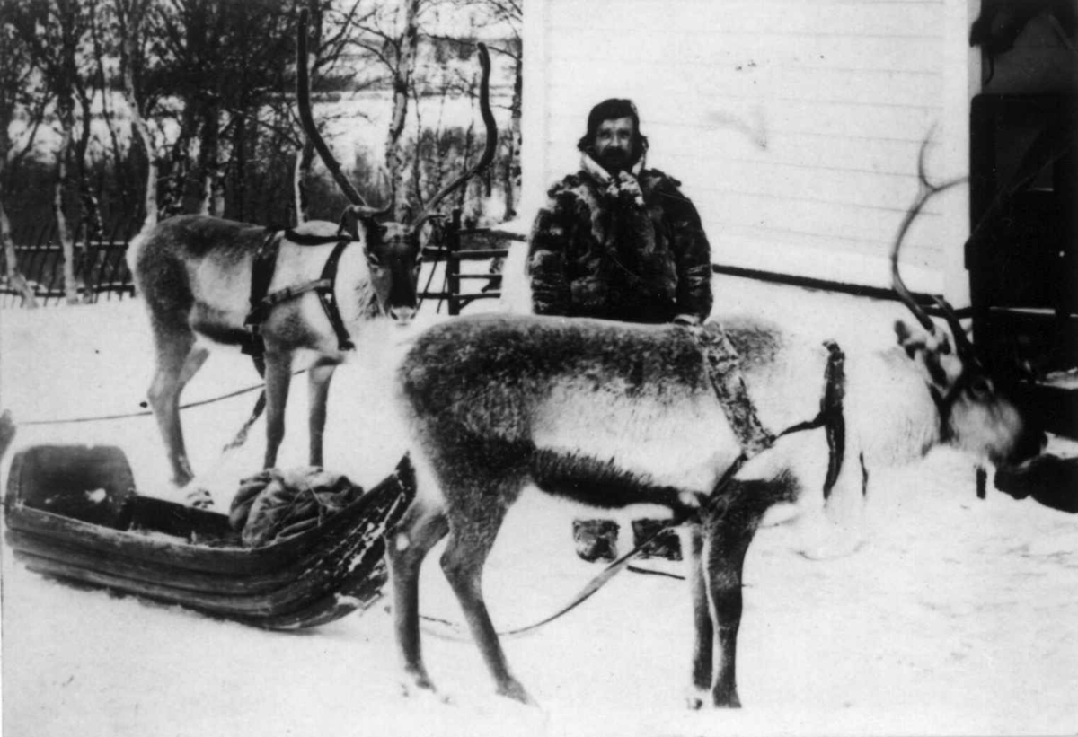 Ellisif Rannveig Wessel, Same med reinsdyr og pulk ved legeboligen til distriktslege Wessel i Kirkenes, Sør-Varanger, Finnmark,ca. 1900.