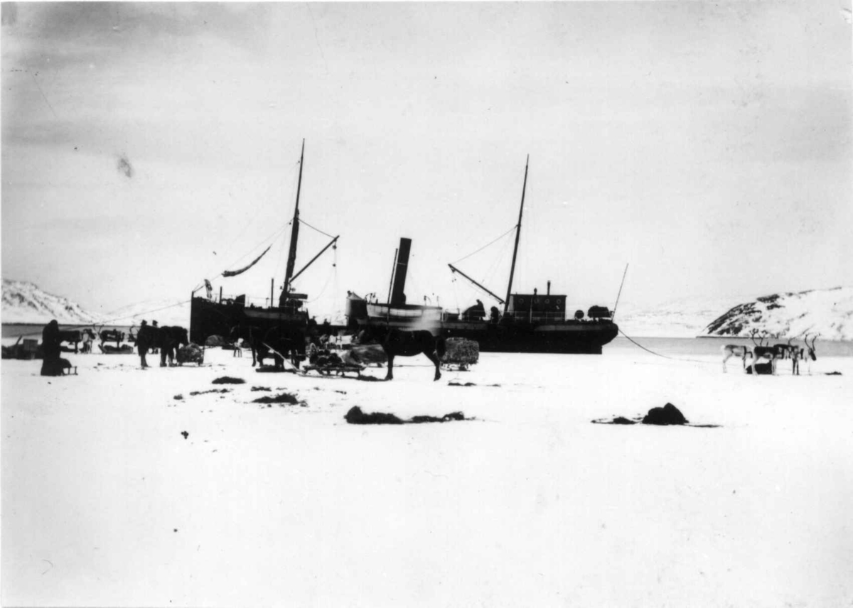Ellisif Rannveig Wessel, Dampskipet "Varanger" ved iskanten, Sør- Varanger, Finnmark.