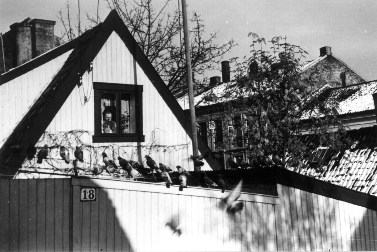 Anders Beer Wilse, Enerhaugen, Oslo 1935. Lite trehus bak plankegjerde med nummerskildt 18.