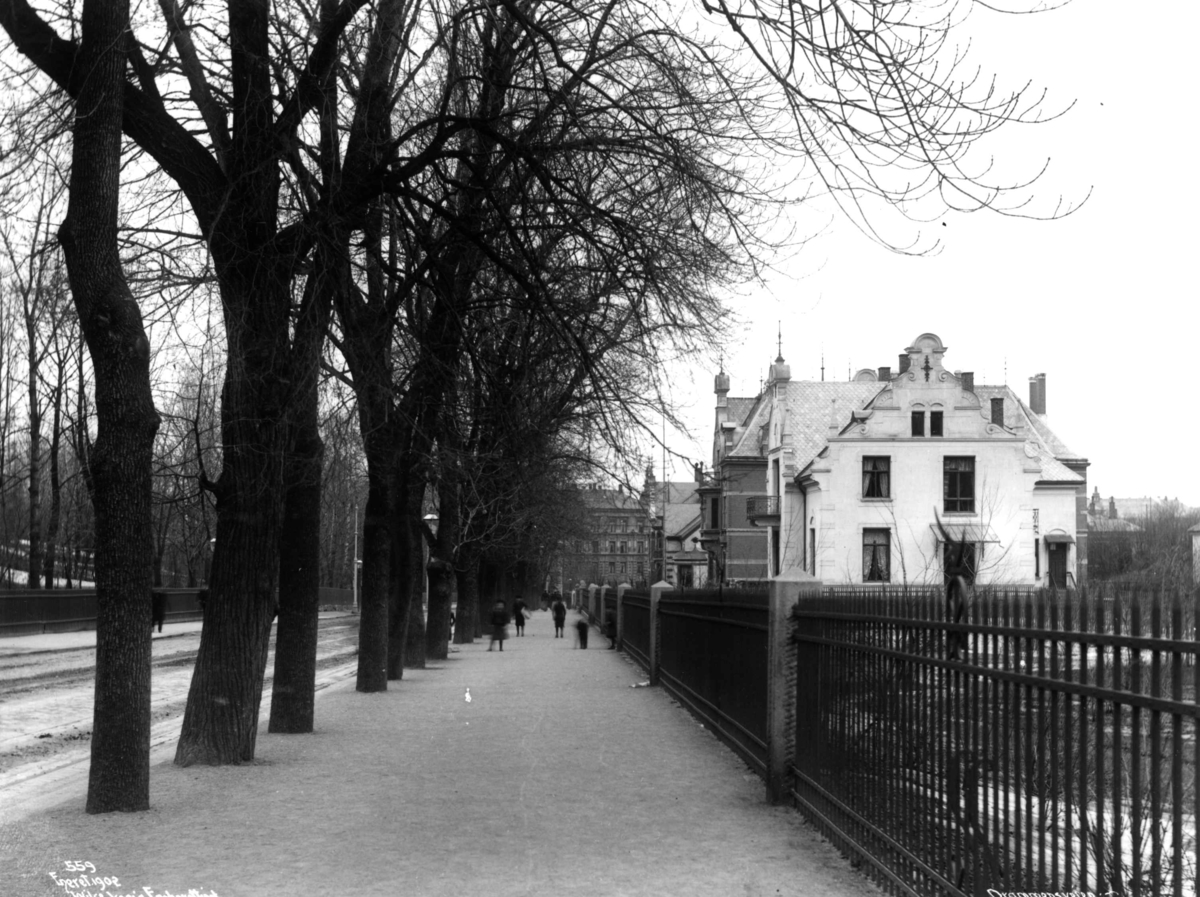 Anders Beer Wilse, Drammensveien, Oslo, 1902. Fortausbilde mellom Solli Plass og Skillebekk.