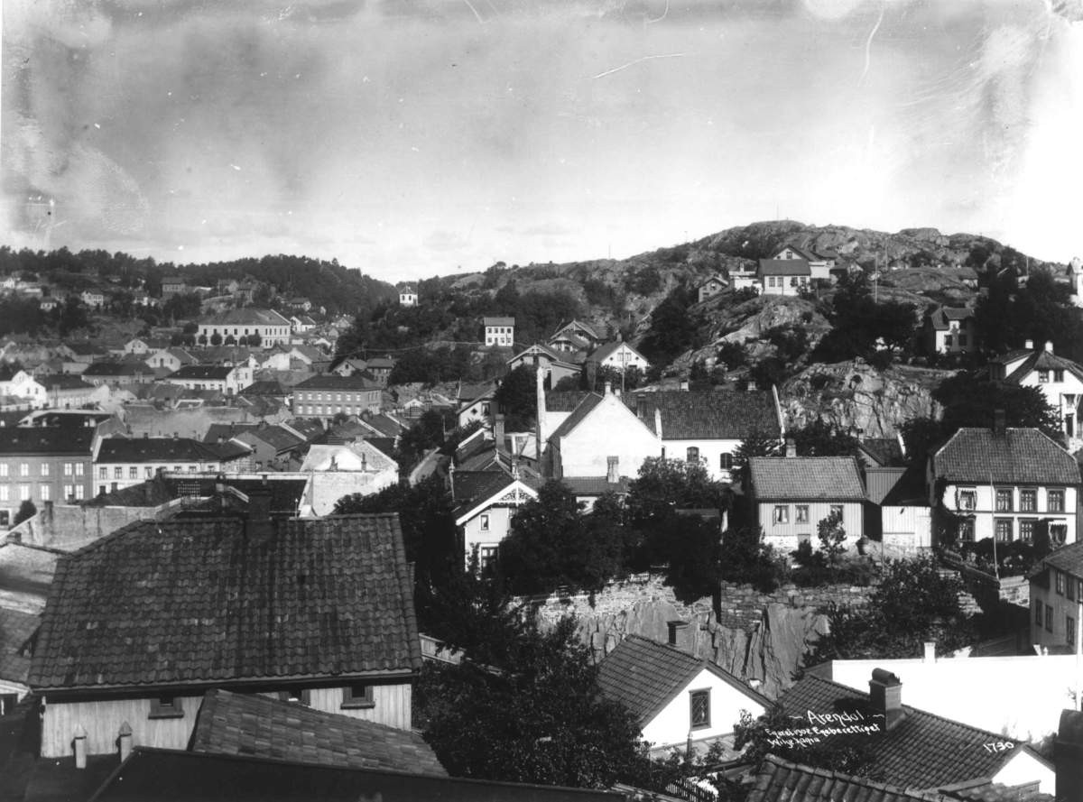 Anders Beer Wilse, Arendal 2