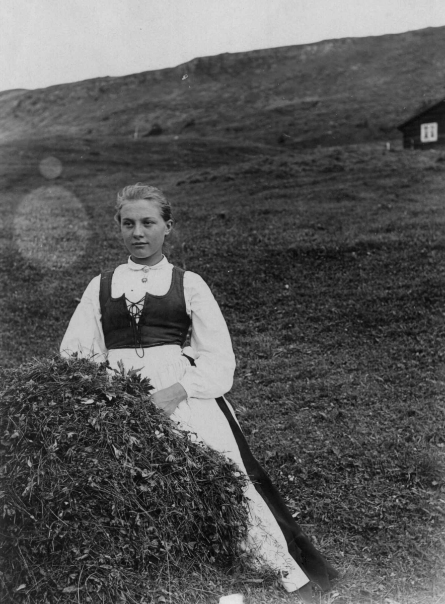 Robert Collett, Pike sittende i åpent landskap, ukjent sted. Drakt muligens fra Gudbrandsdalen, Oppland. Serie tatt av Robert Collett (1842-1913), amatørfotograf og professor i zoologi.