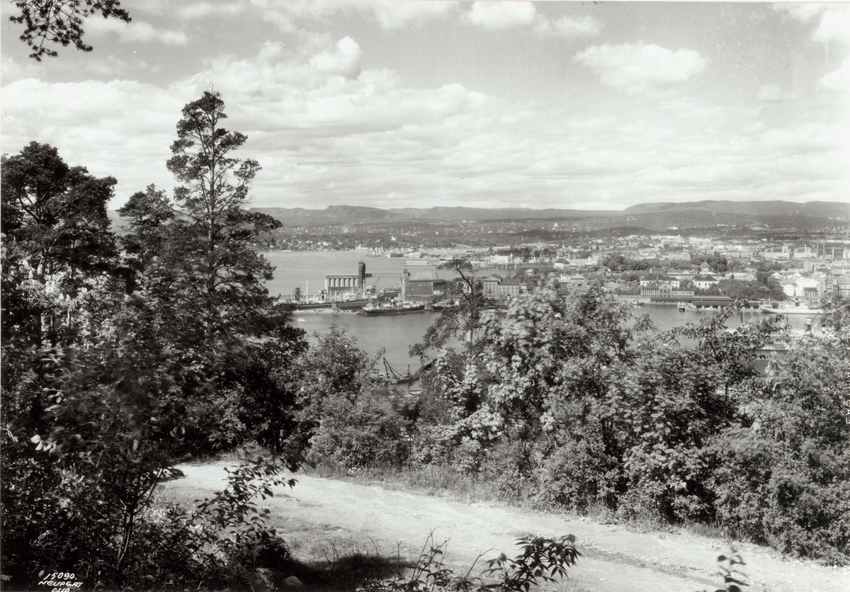 Hermann Christian Neupert, Ekeberg, Oslo 1976. Utsikt mot havna og byen. Nærmest spaservei gjennom skogen.