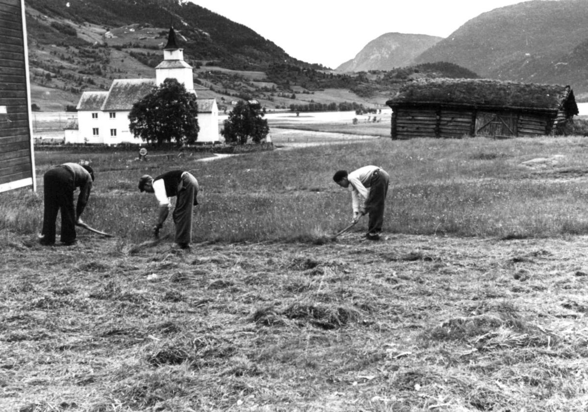 Anna Grostøl, Valle 1939. Torleiv Åkre og sønnene hans slår høy med stuttorvsljå på den gamle "Sjei-vodden". En kirke i bakgrunnen.