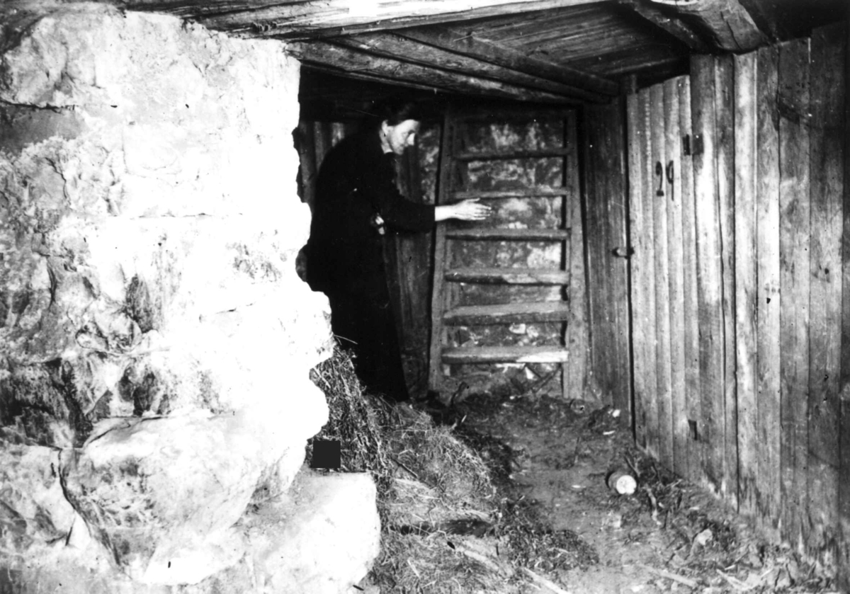 Nanna Broch, Interiør, kjeller med boddør og trapp, Oslo. Fra boliginspektør Nanna Brochs boligundersøkelser i Oslo 1920-årene.