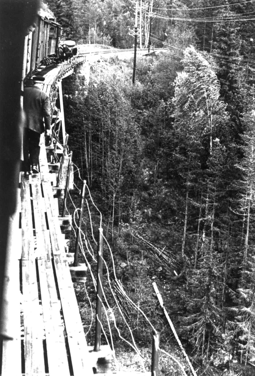 Anna Grostøl, Jernbanbro med tog. Sør for Røros, nord for Koppang, Hedmark 1939.