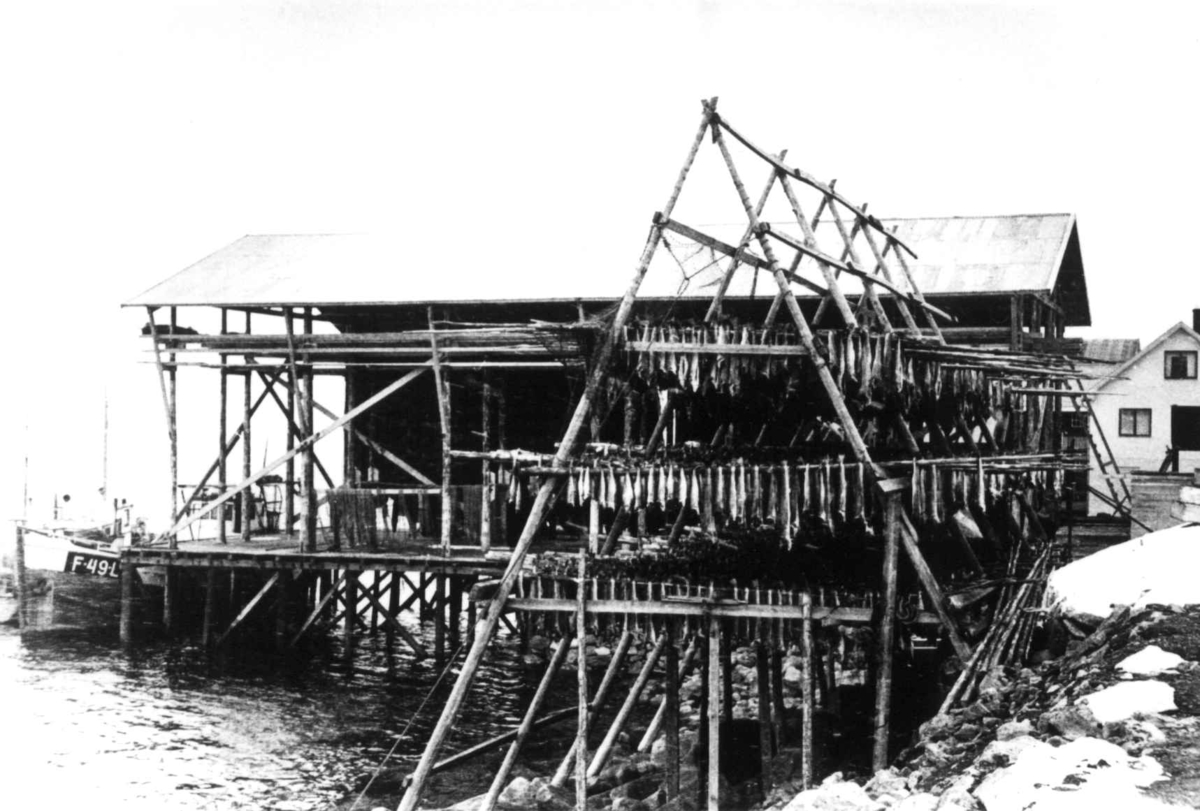 Anna Grostøl, Fisk henger til tørk ved en kai i Alta eller Tromsø antagelig 1940-årene.