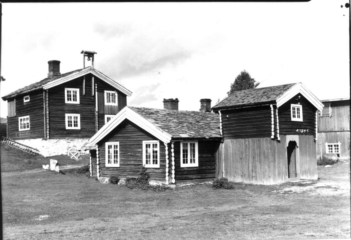 Anders Beer Wilse, Koppanghammeren, Koppang, Stor-Elvdal, Hedmark. Barfrøstue.