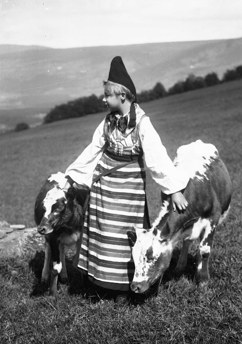 Solveig Lund, Antakelig Aagot Hunder i folkedrakt som klapper to kalver. Fjell i bakgrunnen.