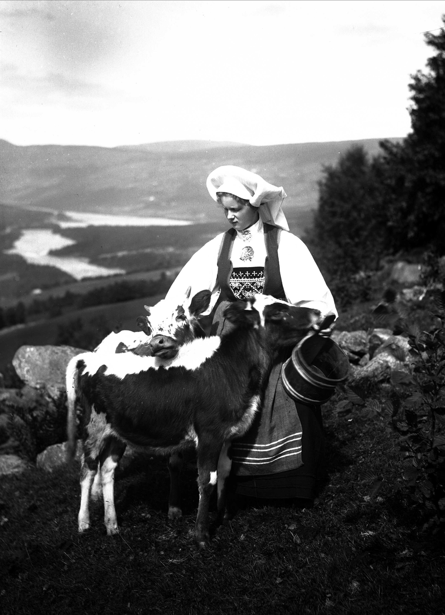 Solveig Lund, Kvinne i nasjonaldrakt klapper to kalver. Holder bøtte i hånden. Fjell og fjord i bakgrunnen.