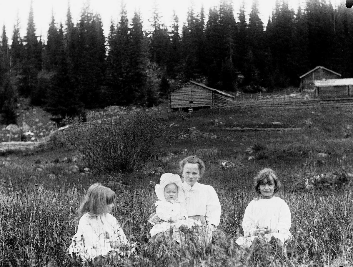 Axel Quinsgaard Wiborg, Familiemedlemmer på Holoa seter, Hadeland, Jevnaker, Oppland, 1903. Gudrun, Margrethe, Halvor Nicolai, Karen Q. Wiborg.