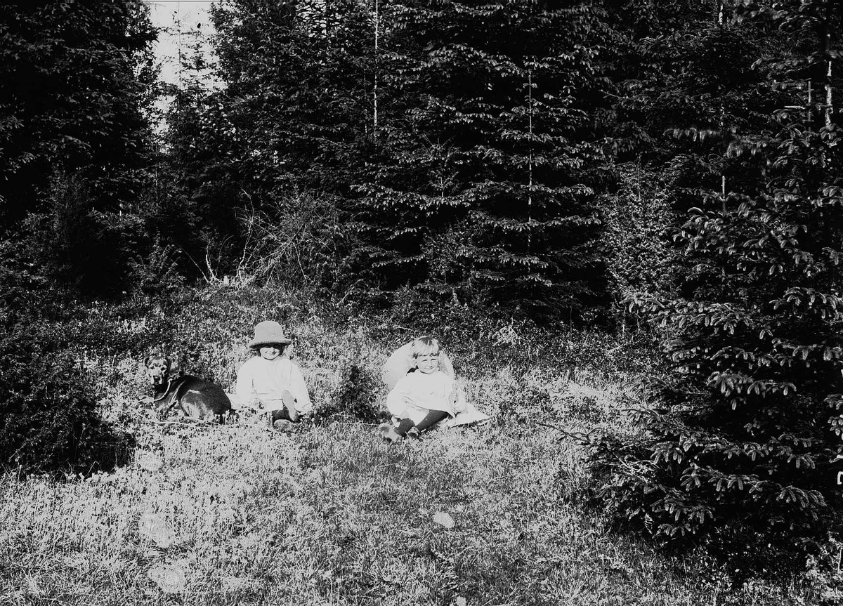 Axel Quinsgaard Wiborg, Karen og Gudrun Q. Wiborg med hunden Freya sitter i gresset, Gamle Digerud, Frogn, Akershus, 1899.