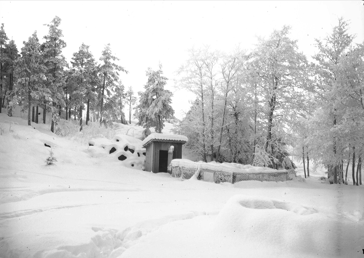 Axel Quinsgaard Wiborg, Vinterbilde med uthus fra Digerud, Frogn, Akershus, 1908.