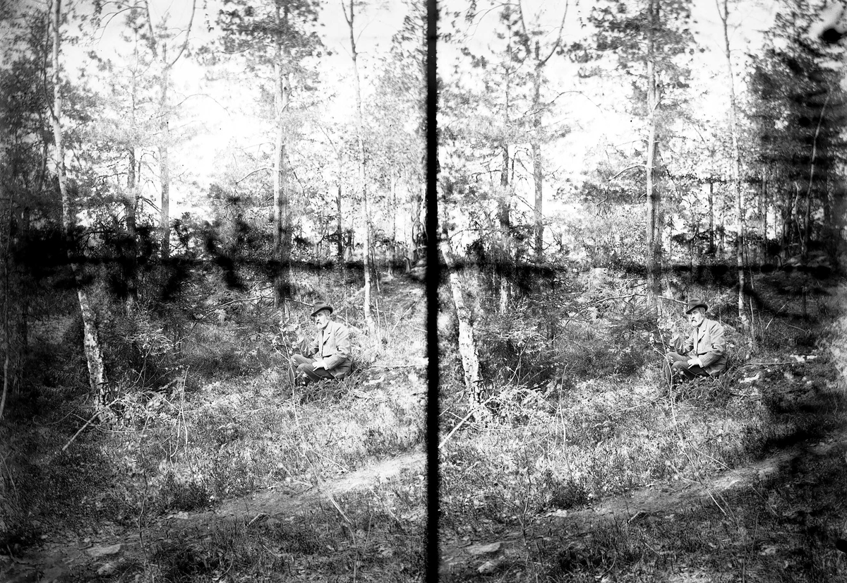 Axel Quinsgaard Wiborg, T. Sommerville sitter i krattskogen på Nedre Digerud, Frogn, Akershus.