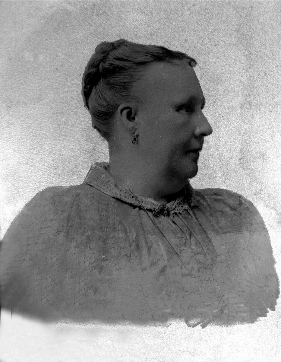 Gustav Borgen, Avfotografering.