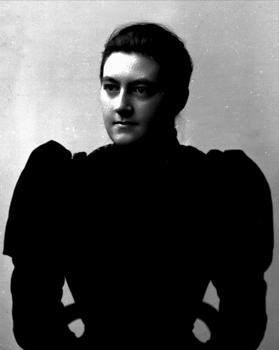 Gustav Borgen, NFB.04993