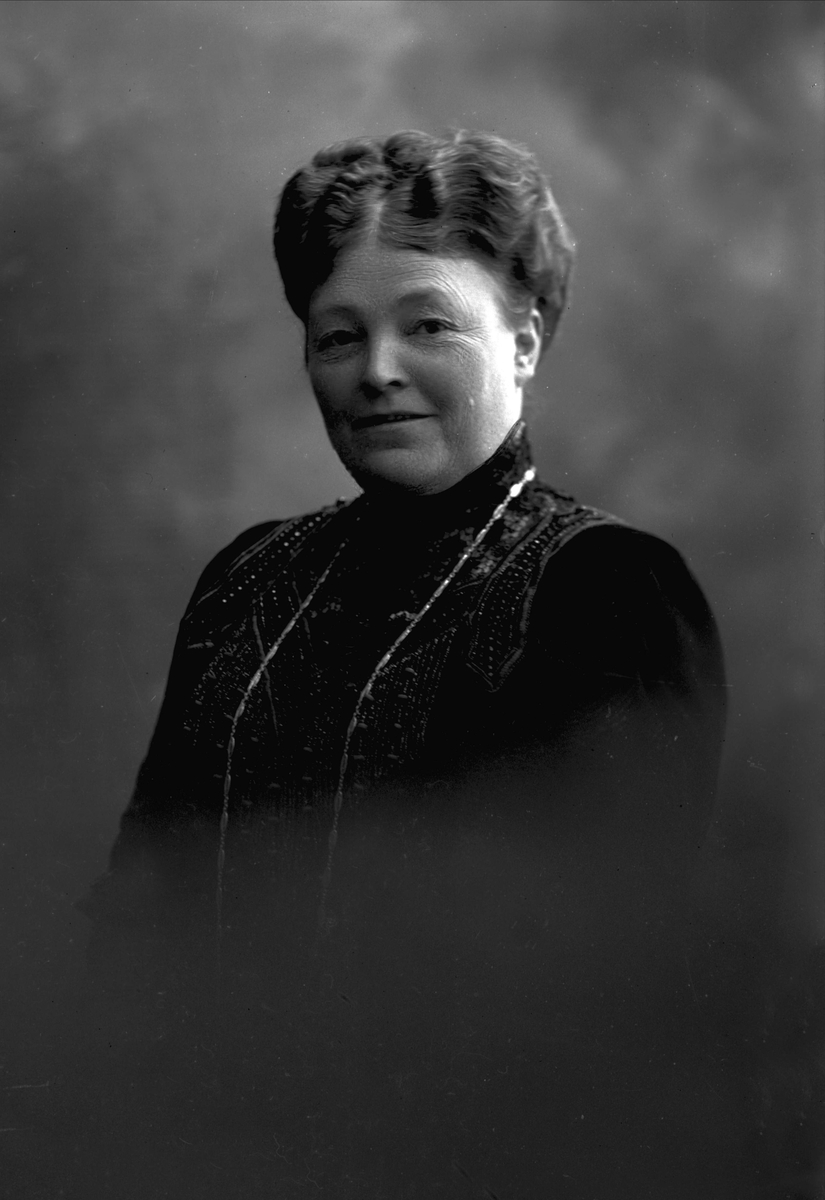 Gustav Borgen, NFB.05102