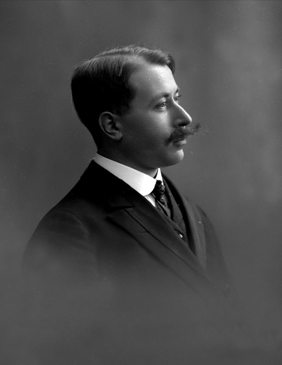 Gustav Borgen, NFB.05140