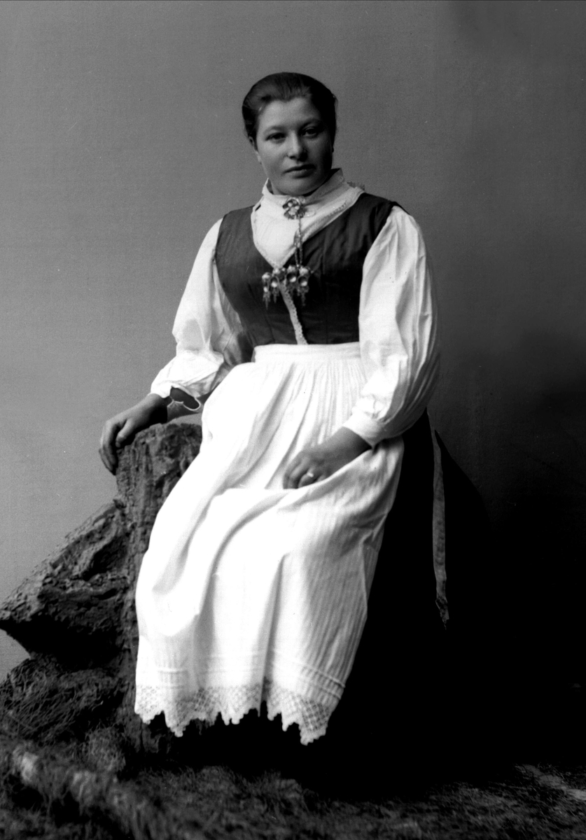Gustav Borgen, NFB.08421