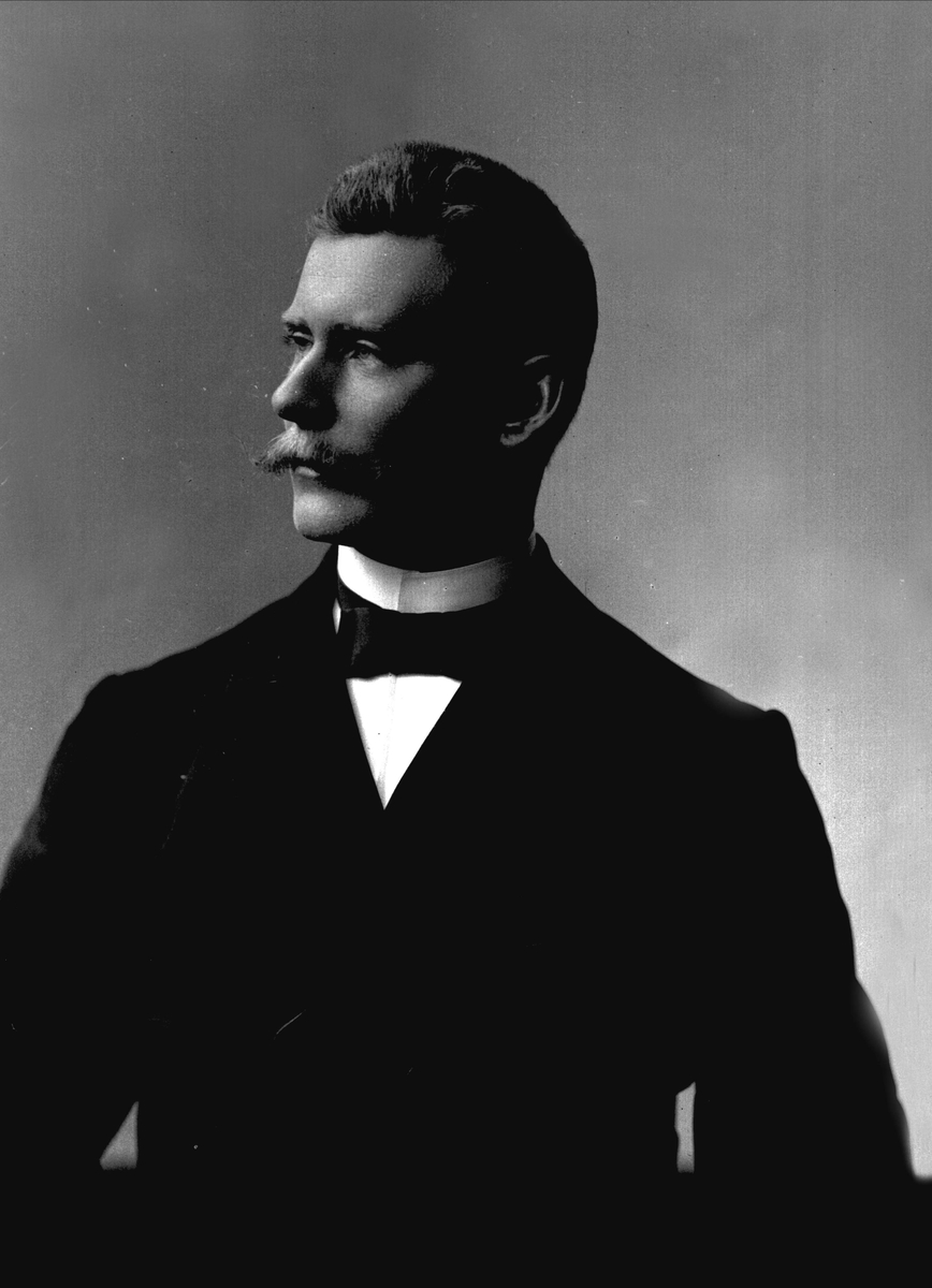 Gustav Borgen, Portrett A. Olsen