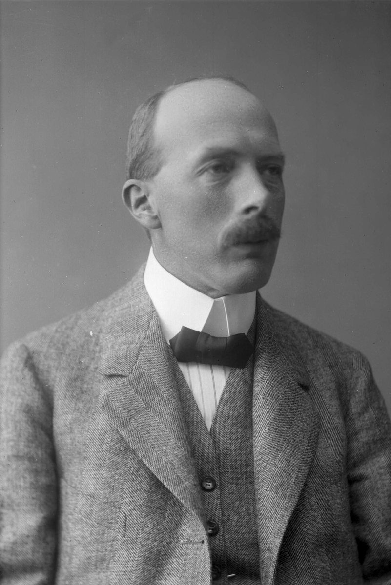 Gustav Borgen, Portrett av advokat Kristen Brunfeldt Nygaard.