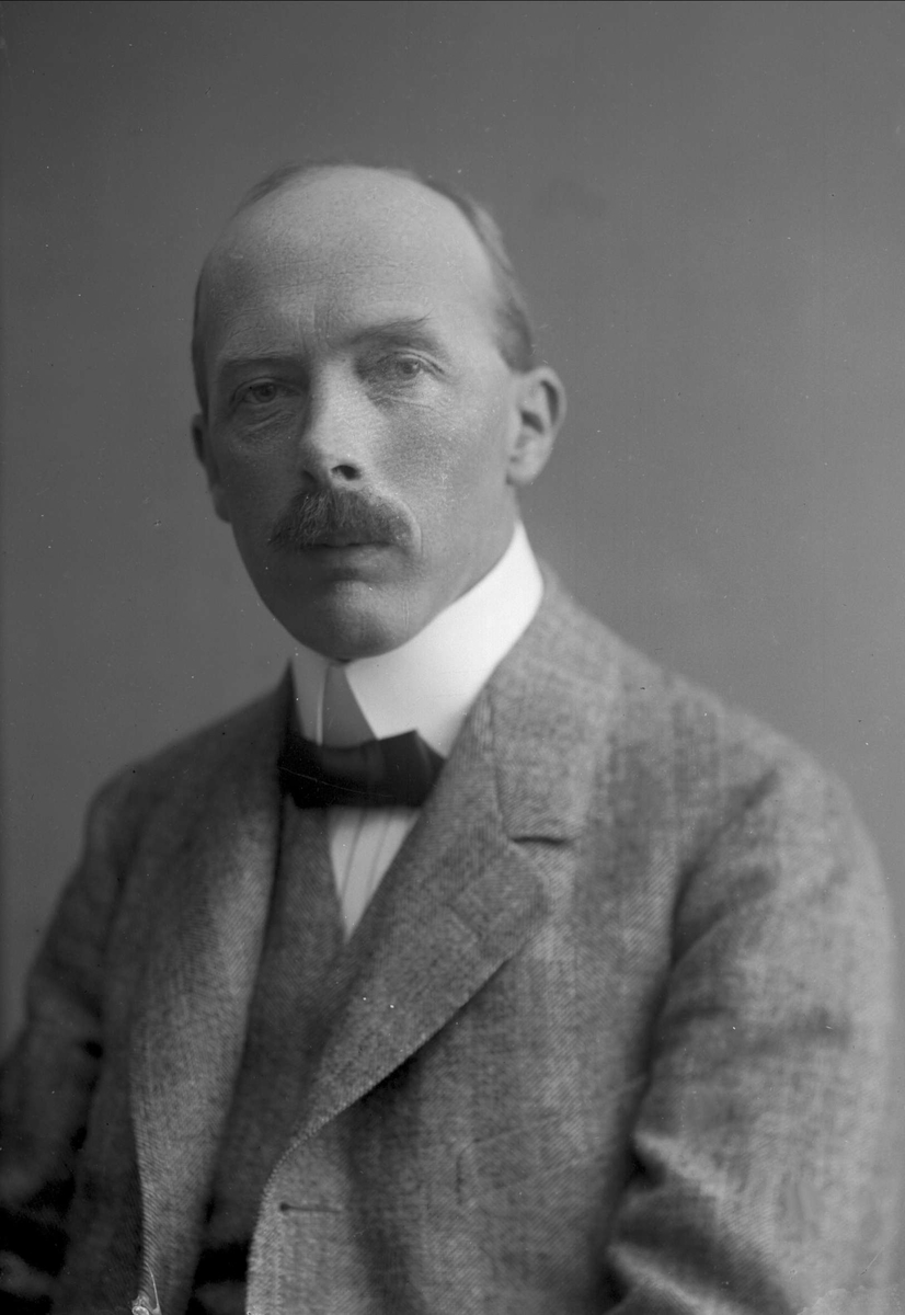 Gustav Borgen, Portrett av advokat Kristen Brunfeldt Nygaard.